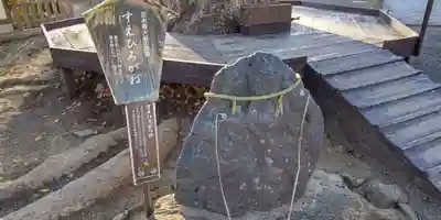 平野神社(京都府)