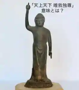 普門寺(切り絵御朱印発祥の寺)(愛知県)(2022年04月08日(金) 19時27分36秒投稿)