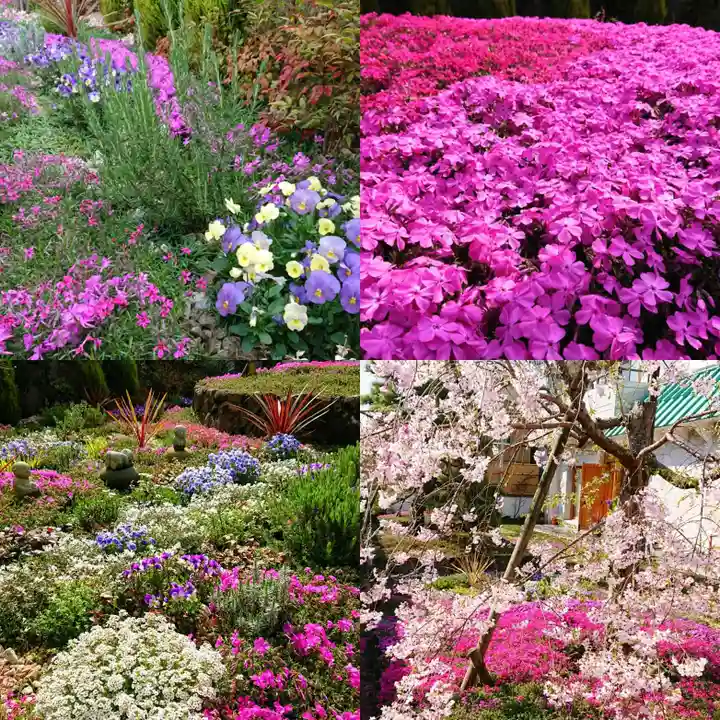 寿量山 速成寺の庭園
