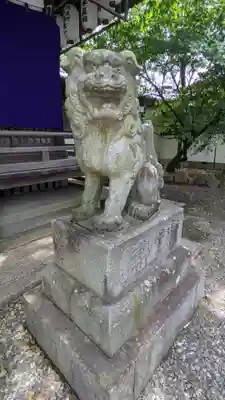 手筒花火発祥の地 吉田神社の狛犬