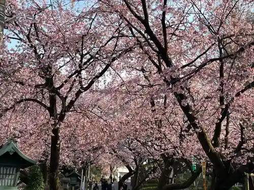 密藏院(埼玉県)