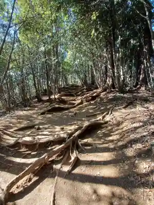 高尾山薬王院の周辺