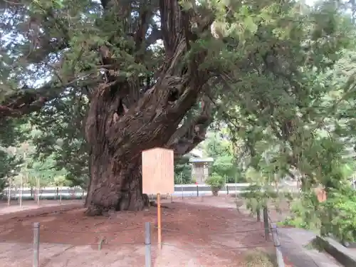 建長寺(神奈川県)