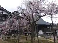 城福寺(福井県)