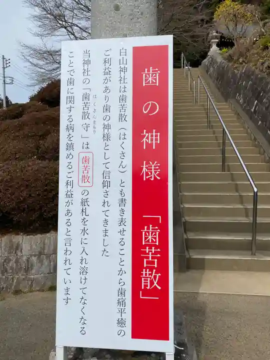 白山神社の歴史