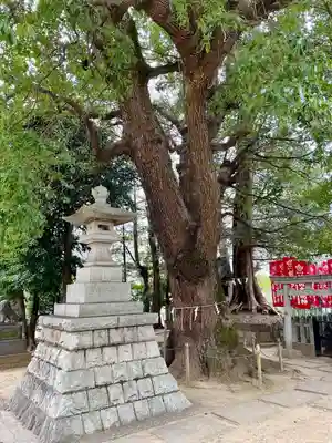 諏訪神社(東京都)