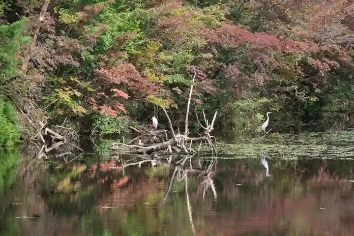大六天麻王神社の周辺