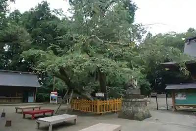 水戸八幡宮のその他建物