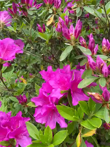 成田熊野神社(千葉県)