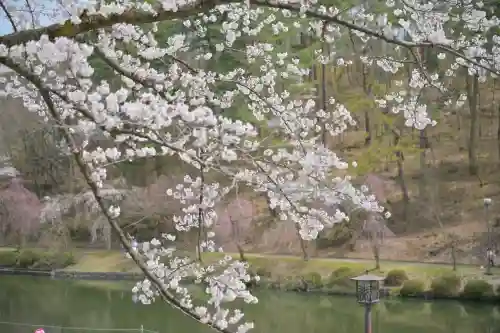 蒼柴神社(新潟県)