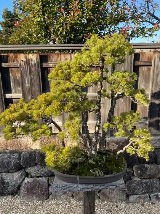 龍泉庵(京都府)