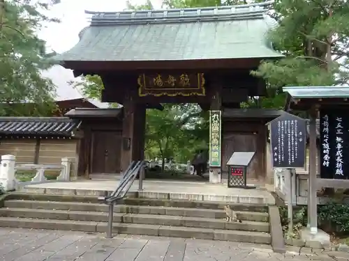 淨眞寺の山門