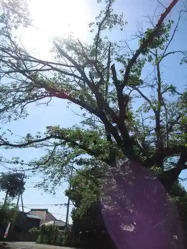 伏木香取神社(茨城県)