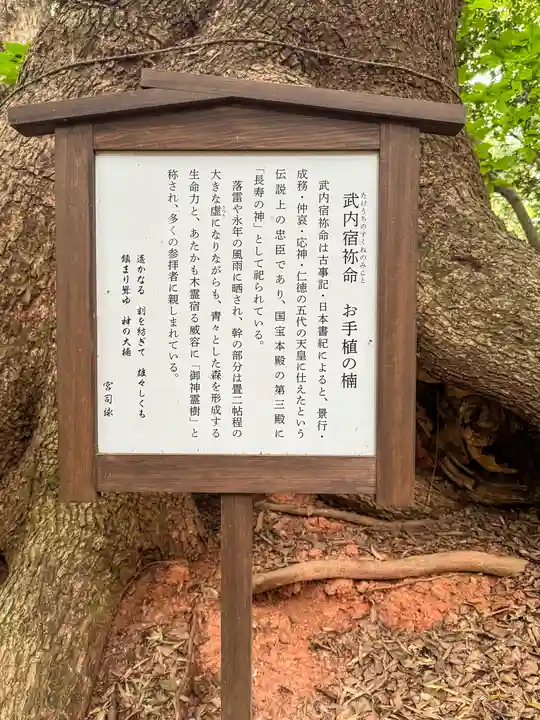 住吉神社(山口県)