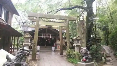 伏見神宝神社の鳥居