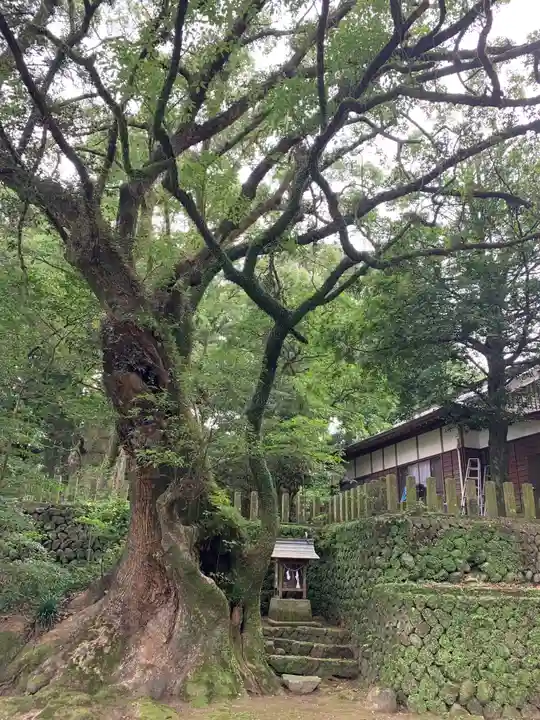 都萬神社の自然