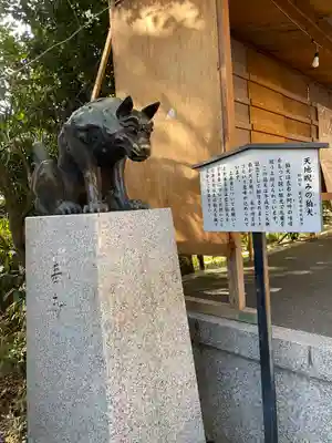 稲毛神社の狛犬