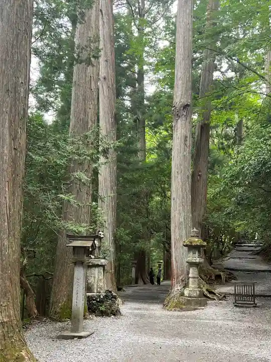 三峯神社(埼玉県)