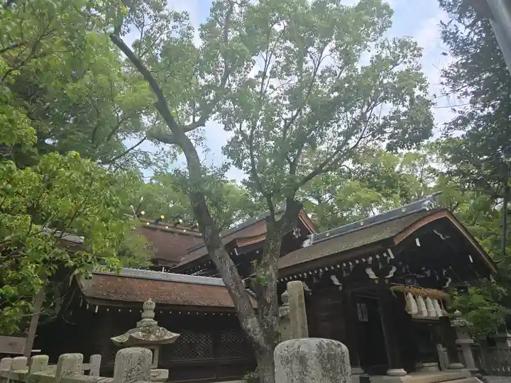 伊弉諾神宮(兵庫県)