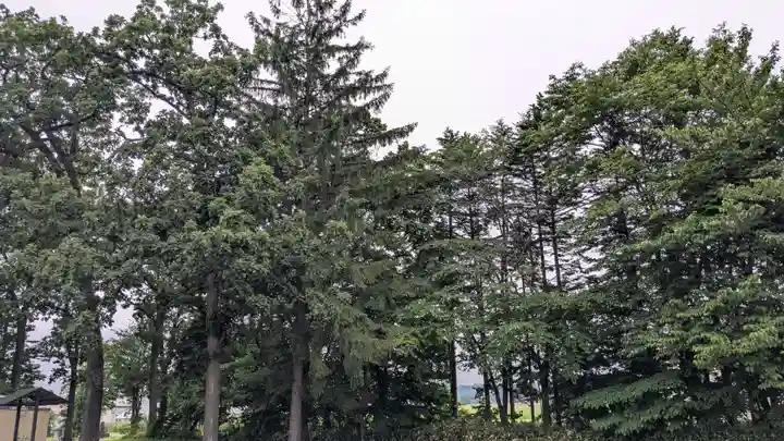 屈足神社の自然