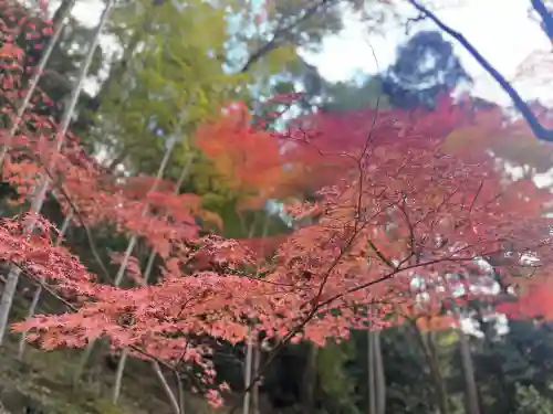 神峯山寺(大阪府)