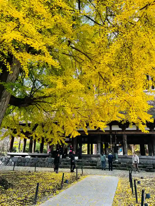 新宮熊野神社(福島県)