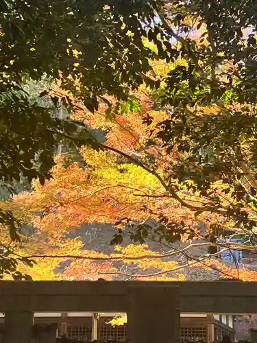 白山神社(滋賀県)