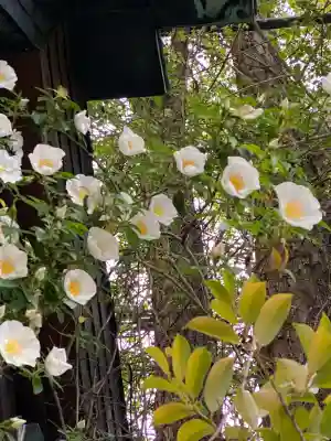 波除神社（波除稲荷神社）の{uncategorized: "未分類", other: "その他", undefined: "問題あり", building: "その他建物", grave: "お墓", sacred_gate: "鳥居", guardian: "狛犬", statue: "像", buddha: "仏像", history: "歴史", nature: "自然", garden: "庭園", animal: "動物", pagoda: "塔", temizu: "手水舎", mountain_gate: "山門・神門", sanctuary: "本殿・本堂", subordinate: "末社・摂社", art: "芸術", scenery: "景色", jizo: "地蔵", ema: "絵馬", goshuin: "御朱印", omikuji: "おみくじ", items: "授与品その他", amulet: "お守り", goshuincho: "御朱印帳", eats: "食事", festival: "お祭り", votive_dance: "神楽", shichigosan: "七五三参", wedding: "結婚式", experience: "体験その他", initially: "初詣", around: "周辺", anti_infection: "感染症対策"}