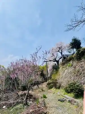 地蔵院の{uncategorized: "未分類", other: "その他", undefined: "問題あり", building: "その他建物", grave: "お墓", sacred_gate: "鳥居", guardian: "狛犬", statue: "像", buddha: "仏像", history: "歴史", nature: "自然", garden: "庭園", animal: "動物", pagoda: "塔", temizu: "手水舎", mountain_gate: "山門・神門", sanctuary: "本殿・本堂", subordinate: "末社・摂社", art: "芸術", scenery: "景色", jizo: "地蔵", ema: "絵馬", goshuin: "御朱印", omikuji: "おみくじ", items: "授与品その他", amulet: "お守り", goshuincho: "御朱印帳", eats: "食事", festival: "お祭り", votive_dance: "神楽", shichigosan: "七五三参", wedding: "結婚式", experience: "体験その他", initially: "初詣", around: "周辺", anti_infection: "感染症対策"}