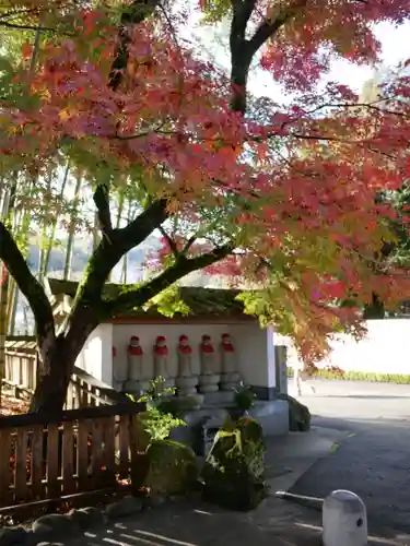 修禅寺の建物その他