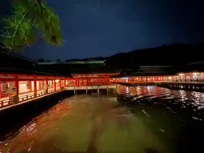 厳島神社の本殿・本堂