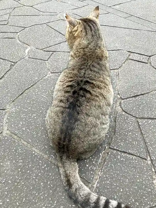 淨眞寺(東京都)