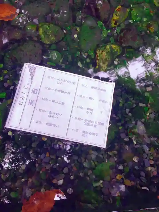 秩父神社のおみくじ