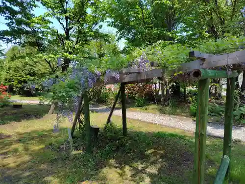 美瑛神社の自然