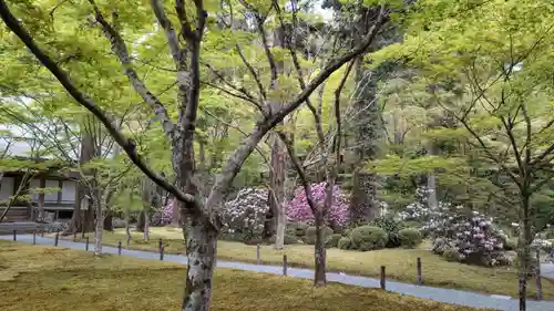 三千院門跡(京都府)