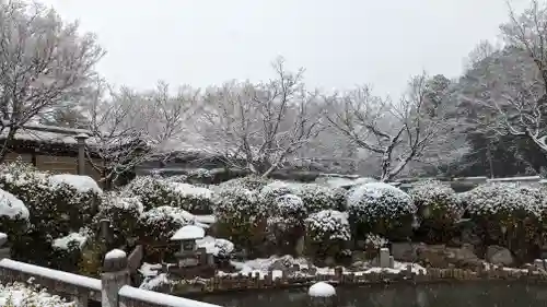 妙満寺(京都府)