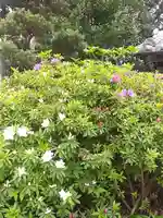 比佐豆知神社(三重県)