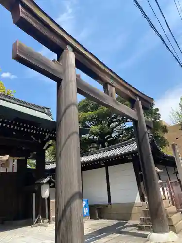 白峯神宮の鳥居