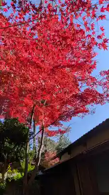 常照寺(京都府)