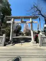 若宮八幡宮 (神奈川県)