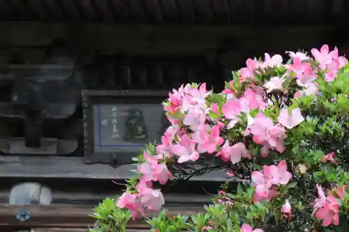 国宝 大法寺の自然