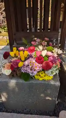 勝林寺(京都府)