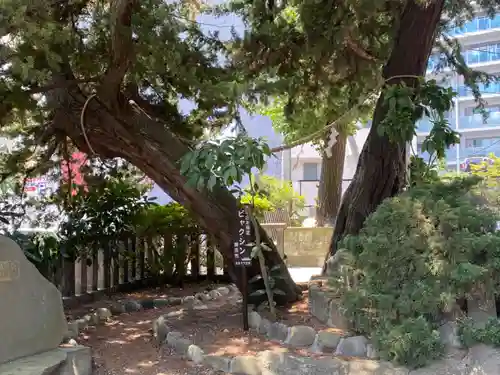 瀬戸神社の自然