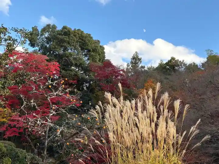 詩仙堂(丈山寺)(京都府)