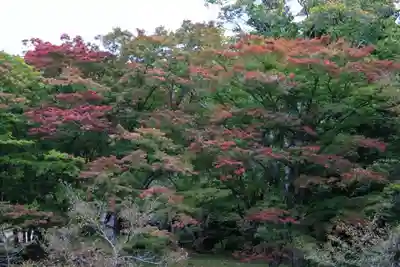 土津神社｜こどもと出世の神さまの自然