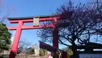 亀戸天神社の鳥居
