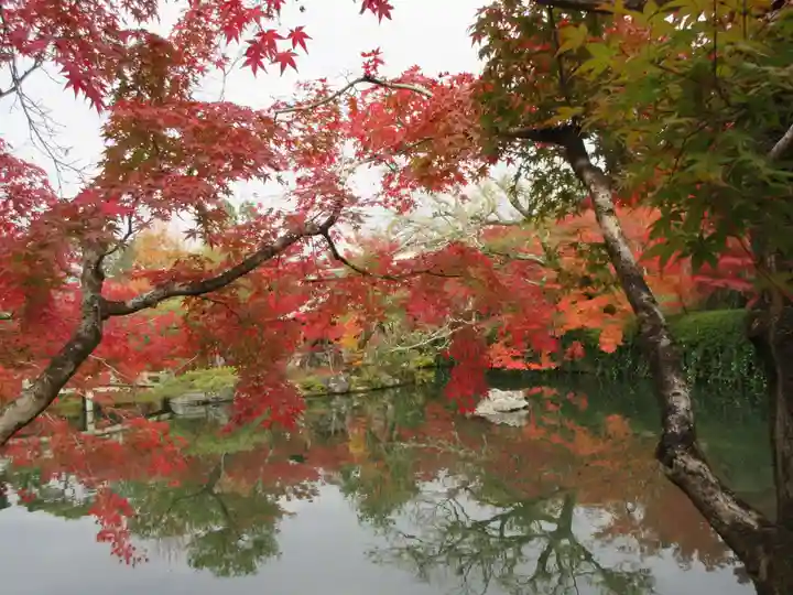 禅林寺(永観堂)の自然
