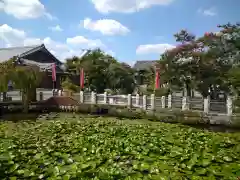 圓照寺の周辺