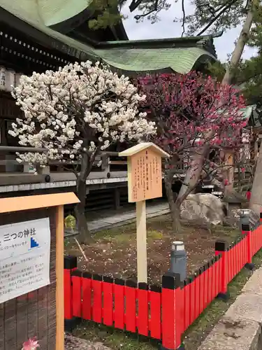 白山神社の自然