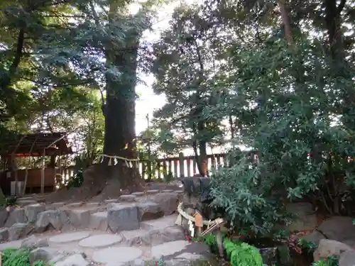 川越氷川神社の庭園